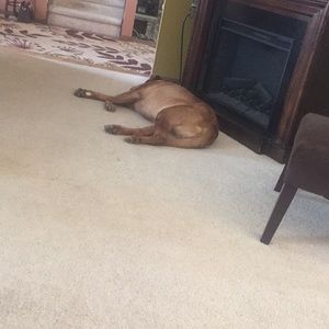 Meet your Posher, Mason